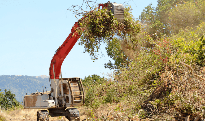 LAND CLEARING